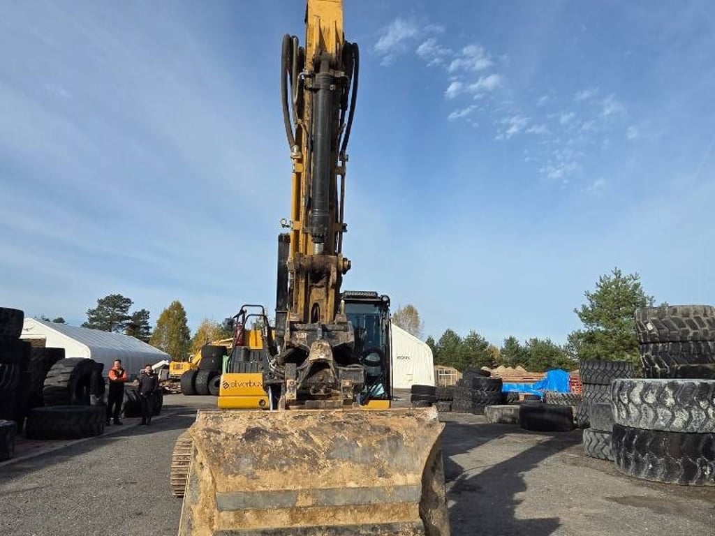 cat-323,5de736db.jpg